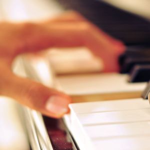 日本银河大乳头
